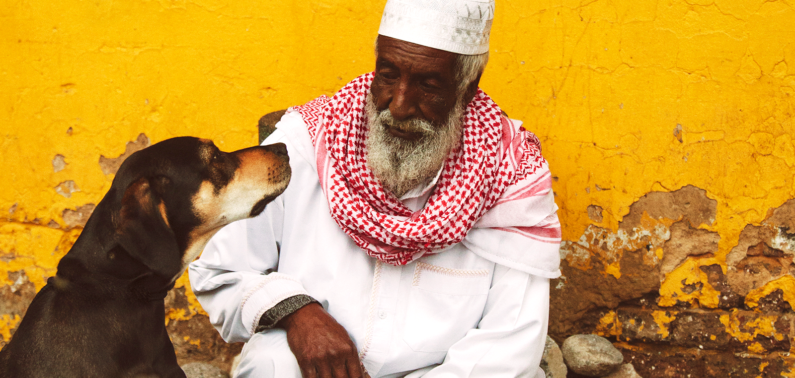 Dog and old man starring at each other