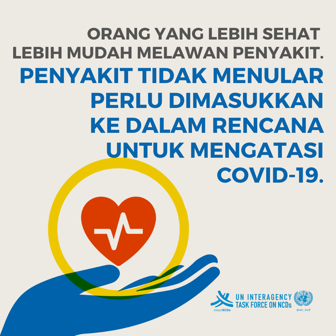NCD 6 - BI