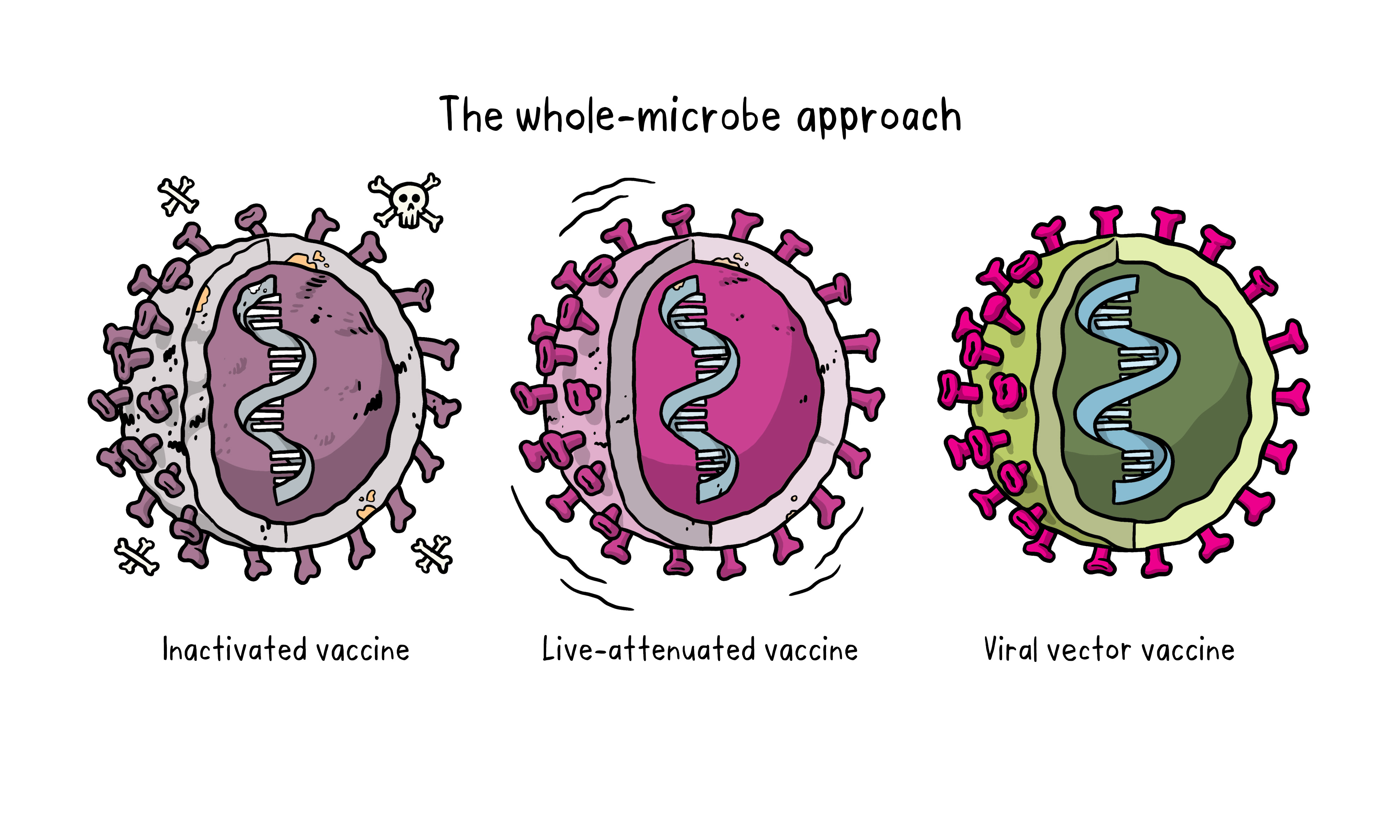 Vaccines Topics Four images working 02