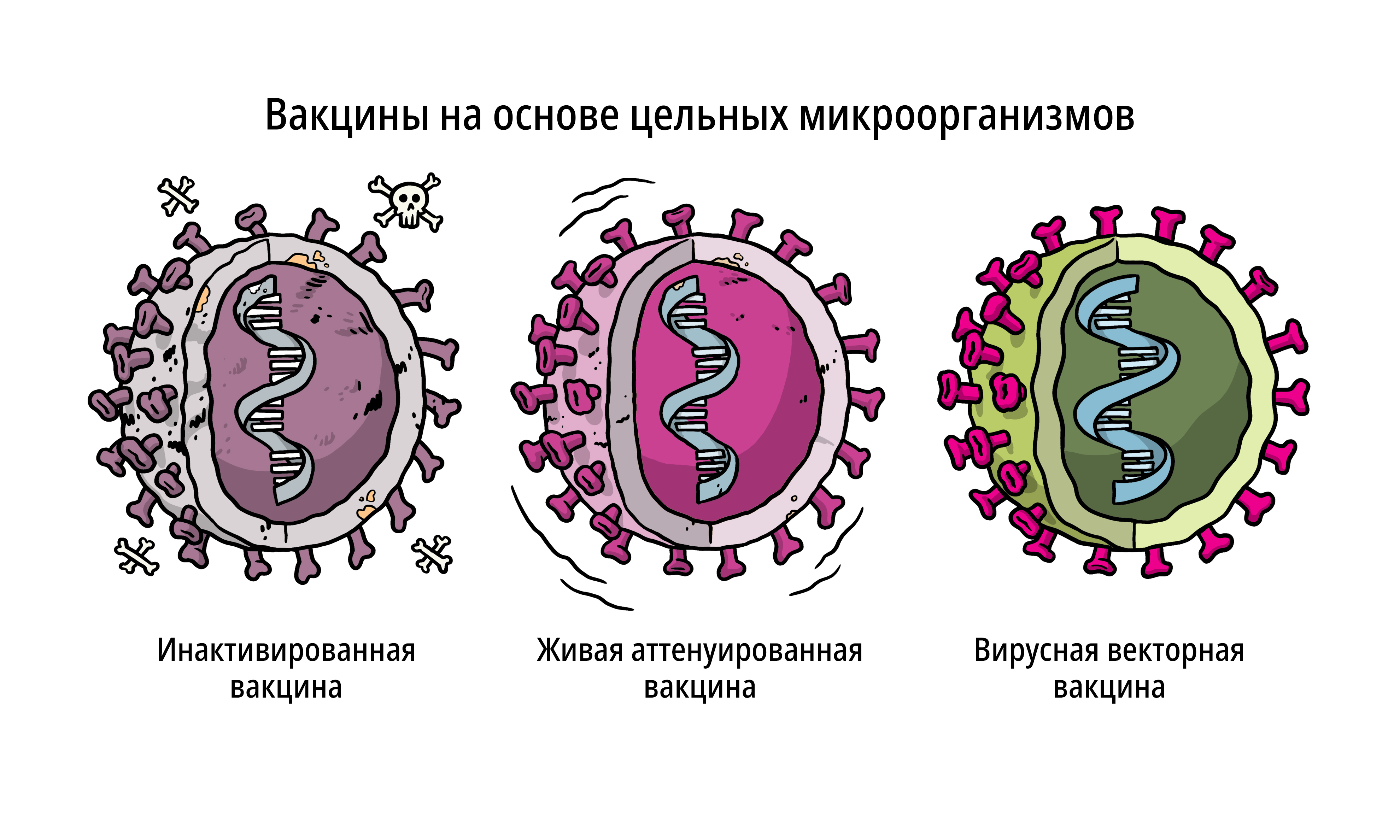 Vaccines Topics Four images working 02