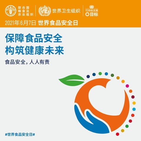 保障食品安全构筑健康未来