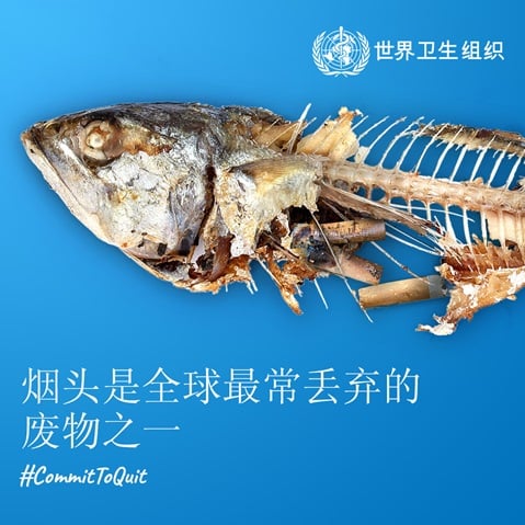 烟头是全球最常丢弃的废物之一